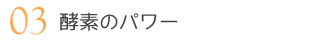 03 酵素のパワー